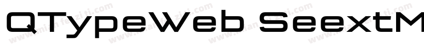 QTypeWeb SeextMedium W03 Rg字体转换